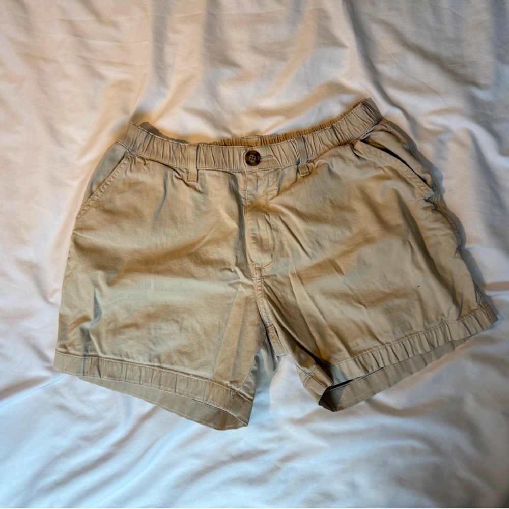 Men’s Chubbies 5.5” Inseam Medium